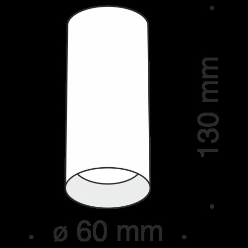 Потолочный светильник Technical C010CL-01G